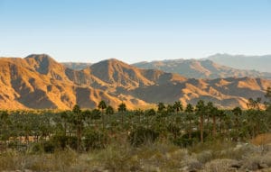 Fall Hiking in Palm Springs