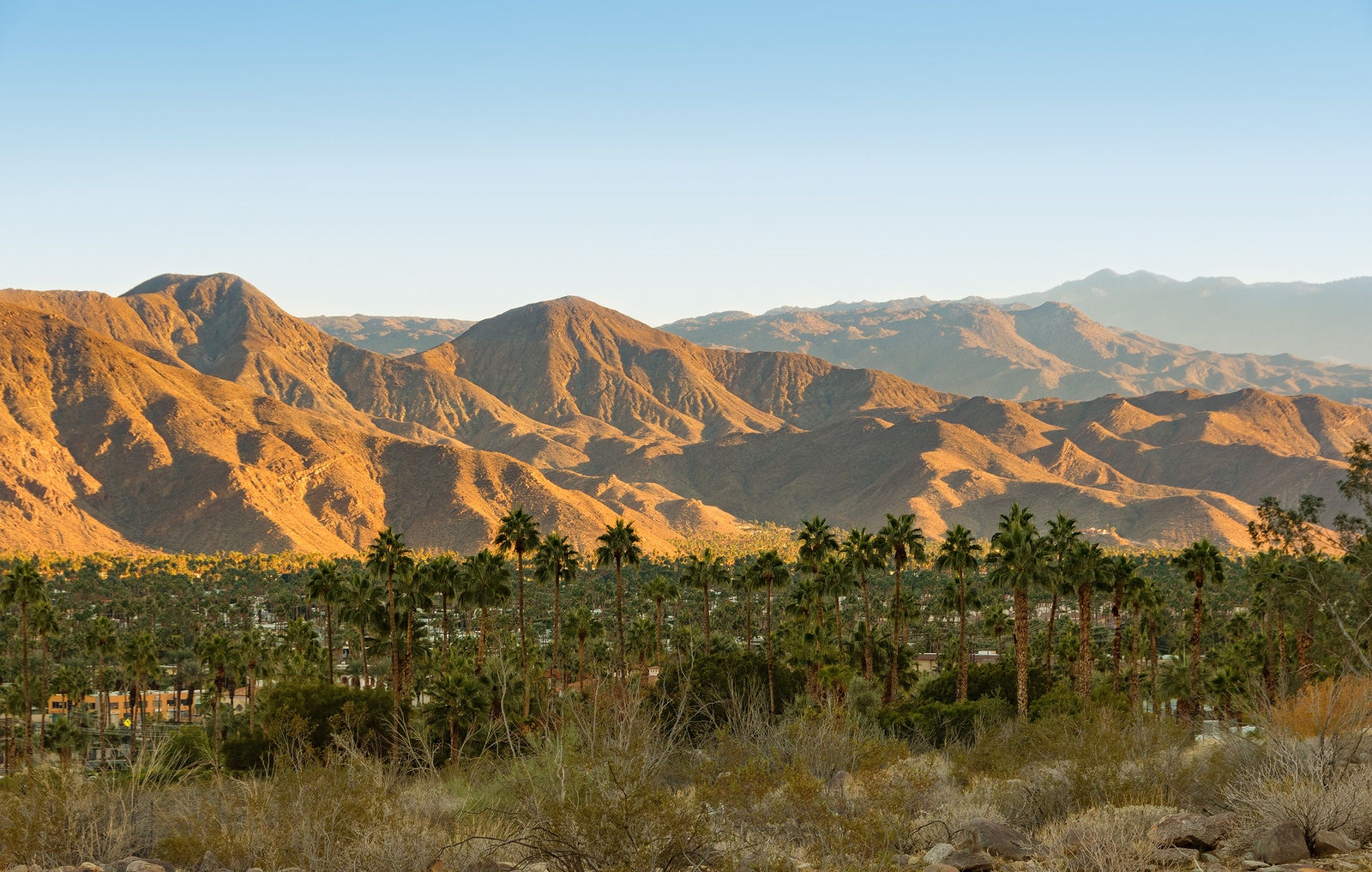 Best time to visit Palm Springs
