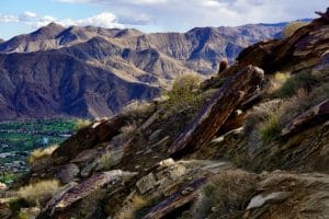 Hiking the Cactus to Clouds Trail in Palm Springs