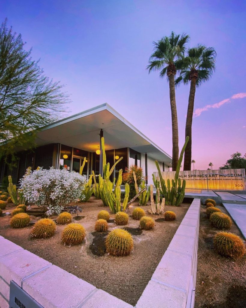 The 1 DEFINITIVE guide to the Palm Springs Art Museum