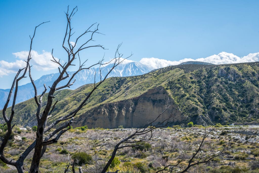 Appreciate natural beauty on these Day Hikes in Palm Springs