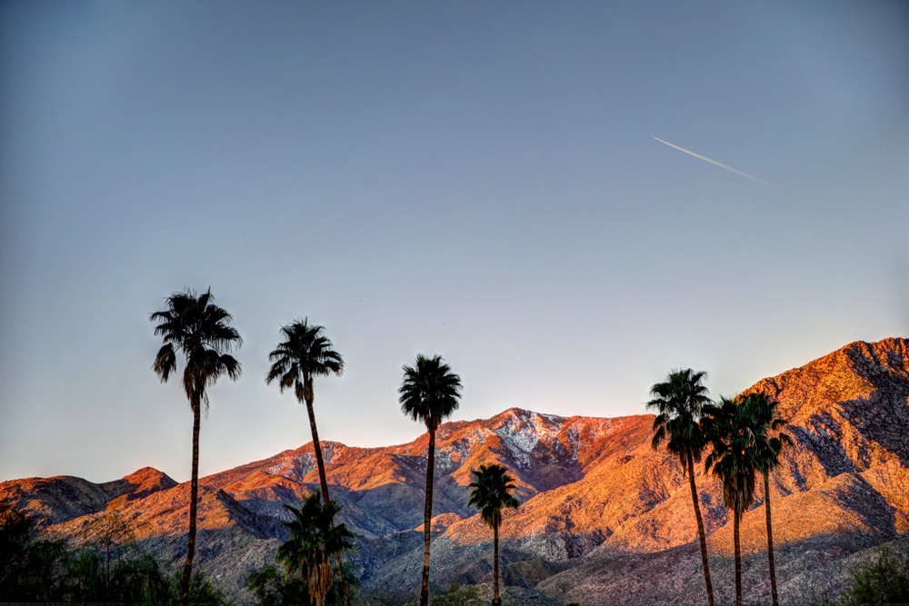 A relaxing weekend in Palm Springs at our Palm Springs Boutique Hotel