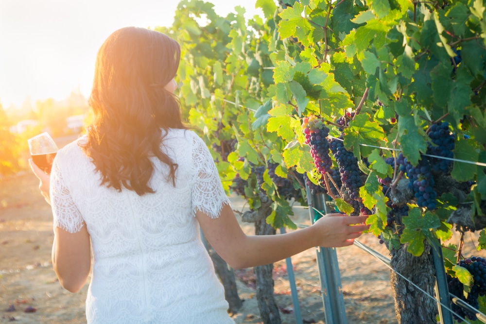 Wine Tasting in Temecula