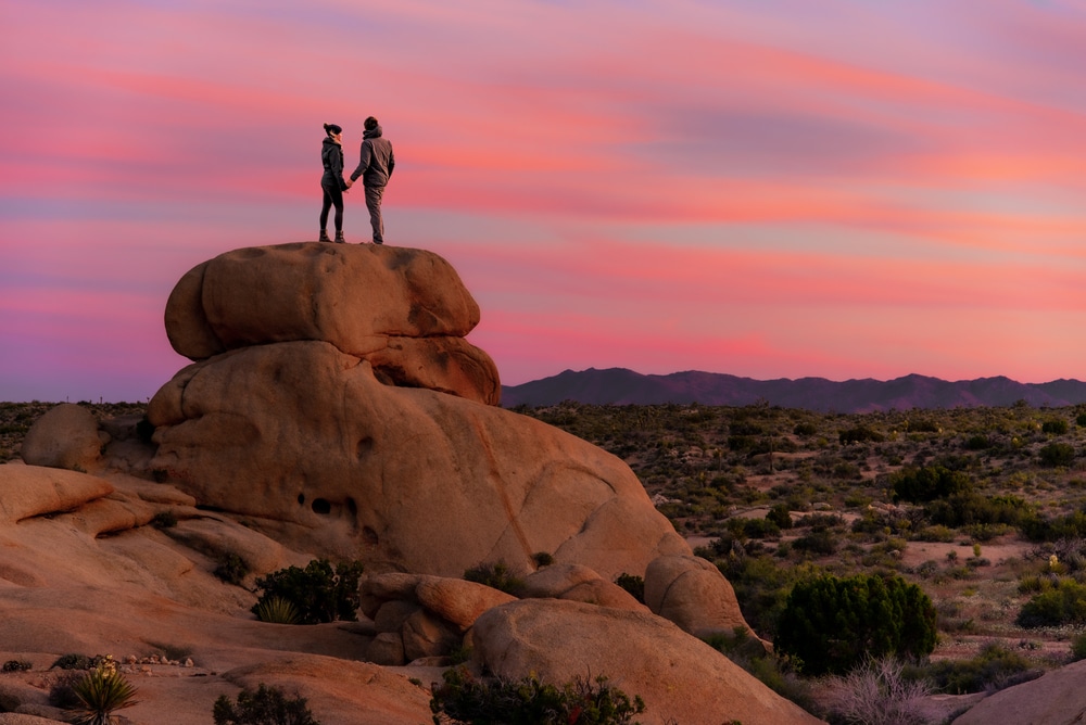 Joshua Tree National Park