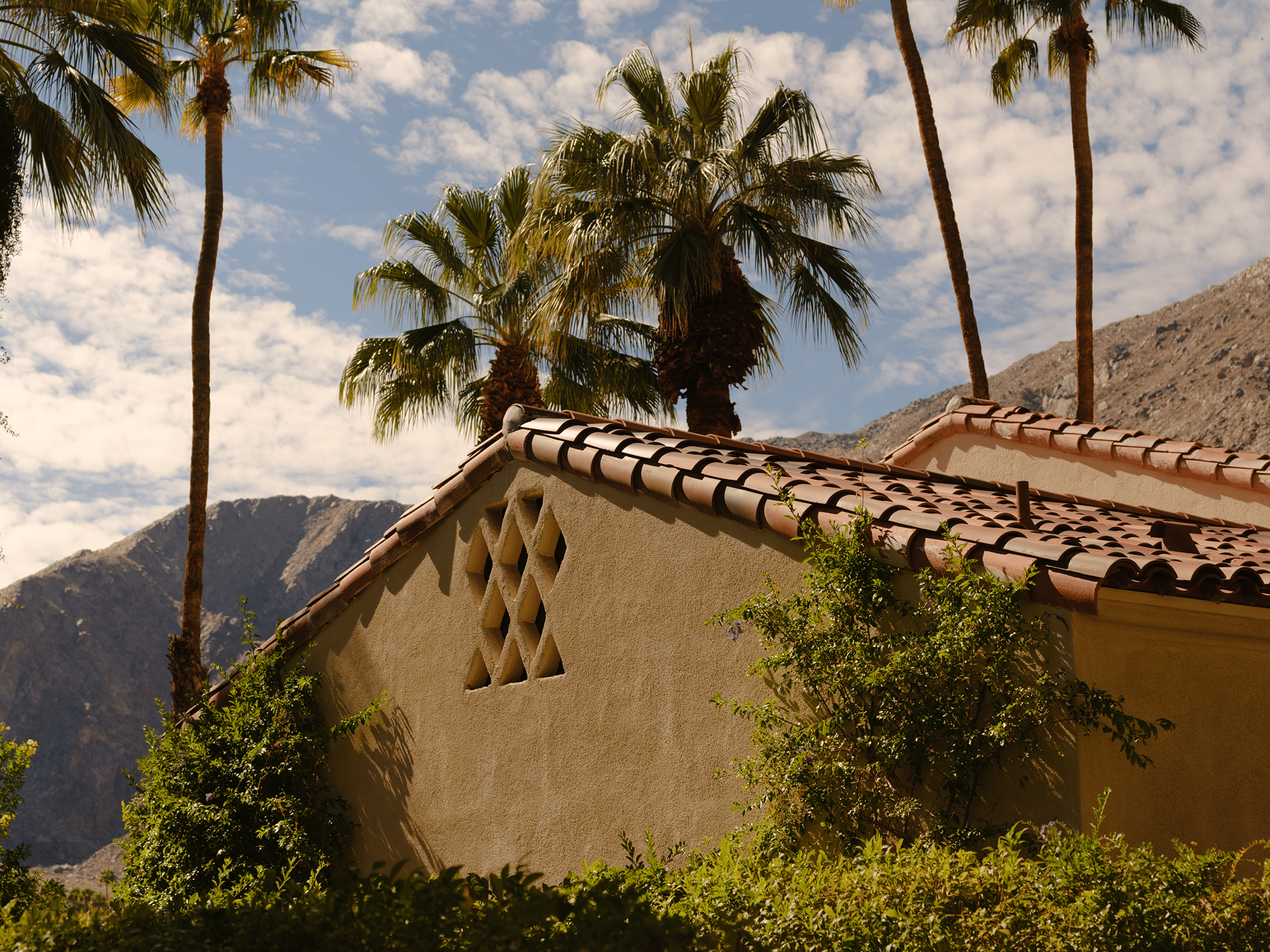 Welcome 9 The Willows Hotel Palm Springs exterior