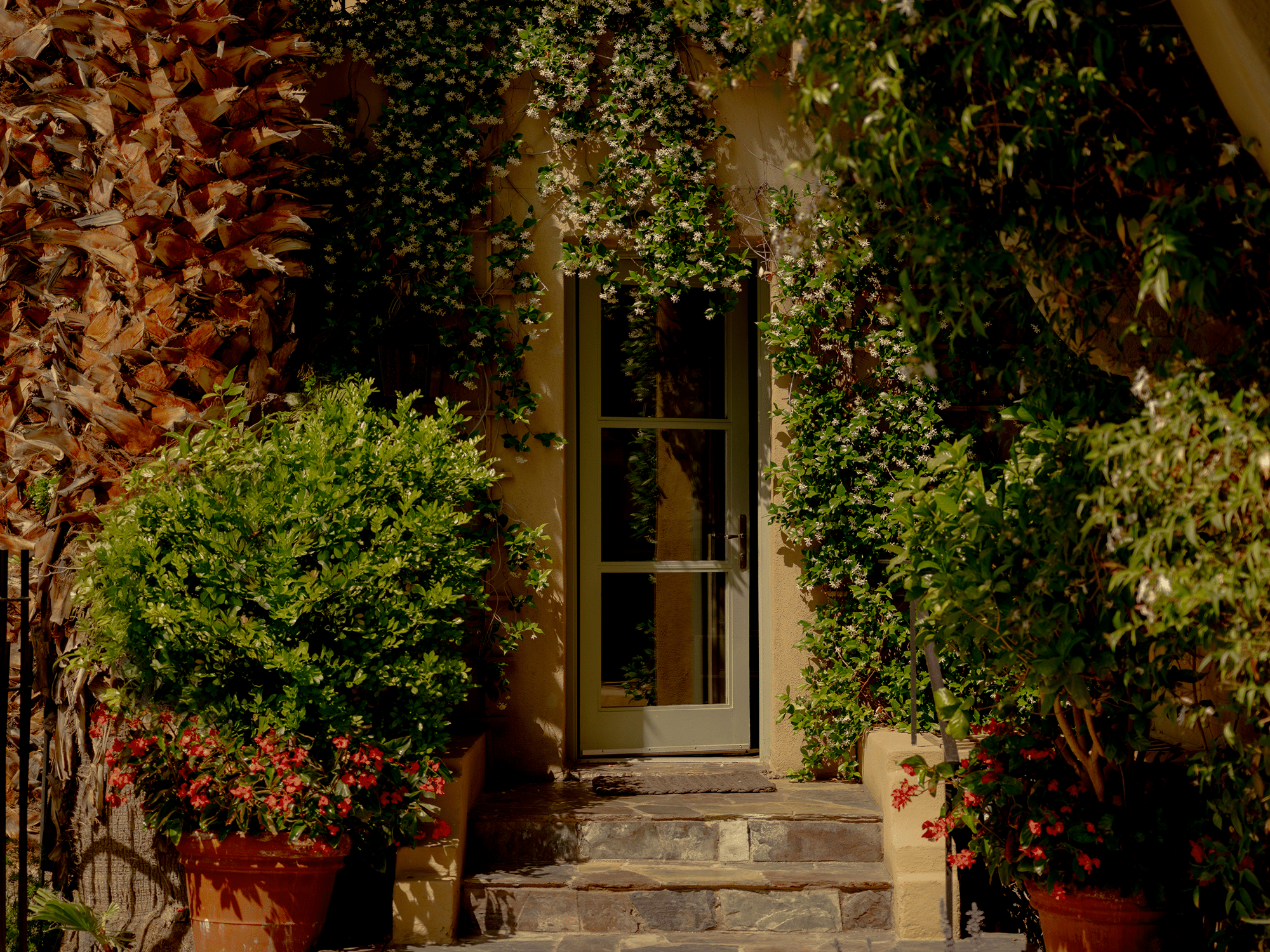 Welcome 5 The Willows Hotel Palm Springs exterior