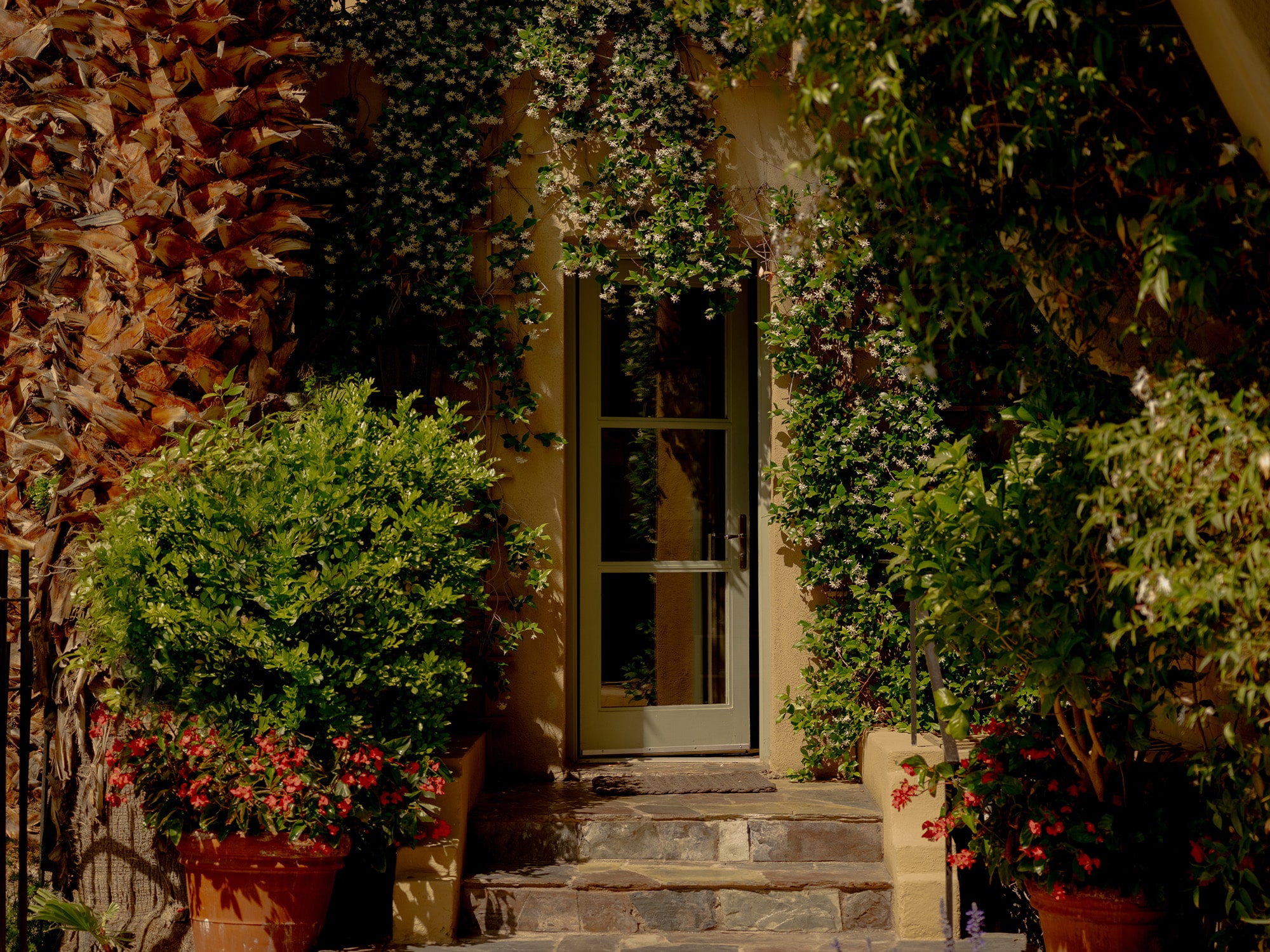 the willows hotel garden