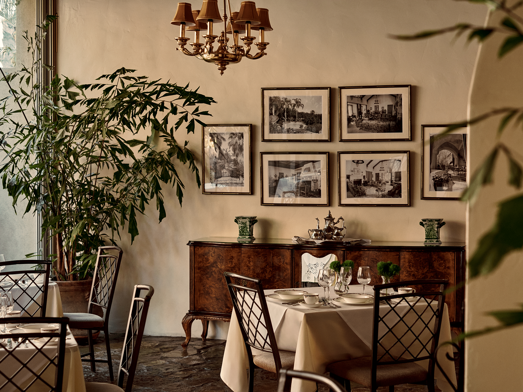 Welcome 7 The Willows Hotel Palm Springs interior